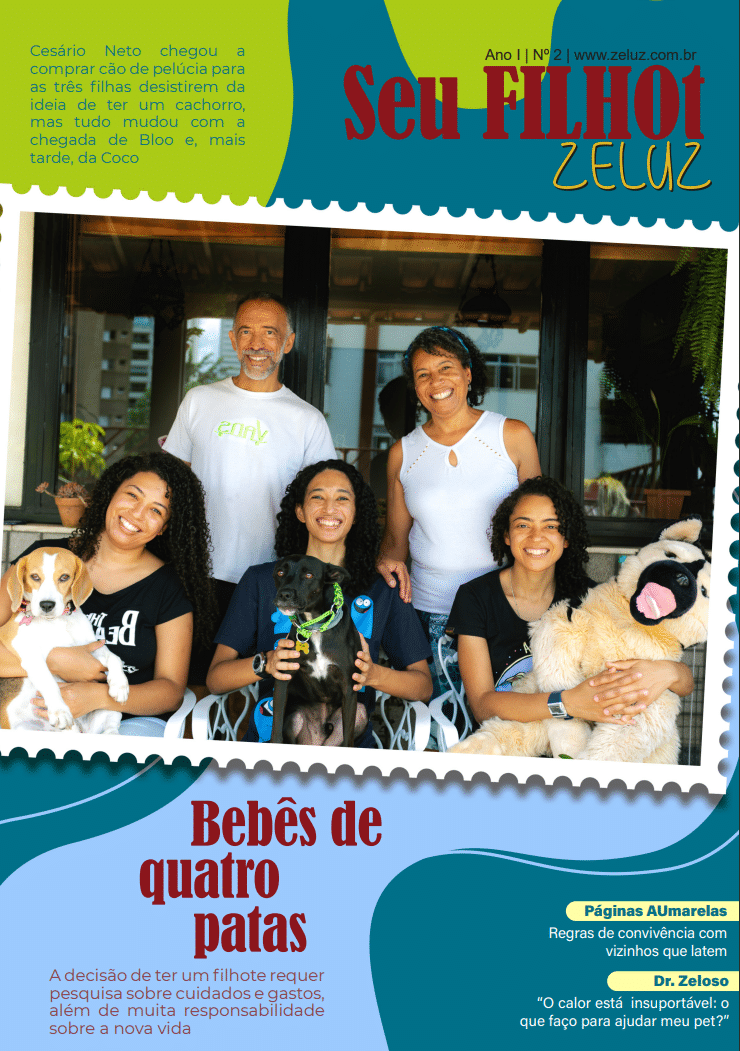 revista
